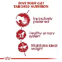 Royal Canin Feline Health Nutrition Instinctive Adult Cats Gravy Wet Food Pouches - 12 x 85g