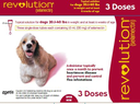 Revolution 12% Selamectin Spot On Insect Infection Treatment for Dogs - 3 x 1mL_1