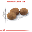 Royal Canin Feline Health Nutrition Sterilised - 2kg_3