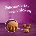 Whiskas Dentabit Chicken - 50g_1