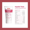 HepaDol Paste 50g_1