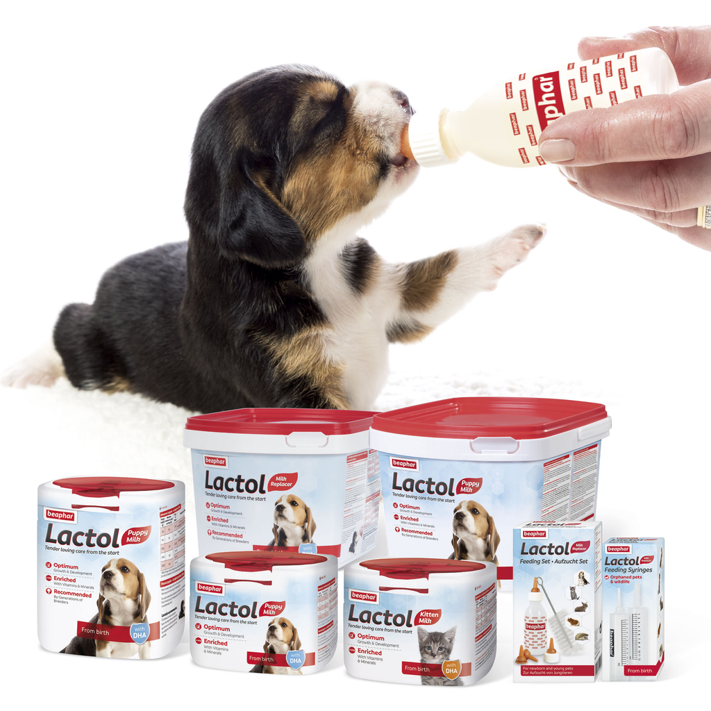 Beaphar Lactol Puppy 250g_4