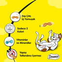 Dreamies Chicken Wet Cat Food - 6 x 60g_2