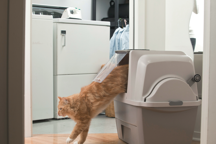 Catit SmartSift Sifting Cat Pan