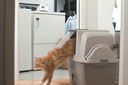 Catit SmartSift Sifting Cat Pan