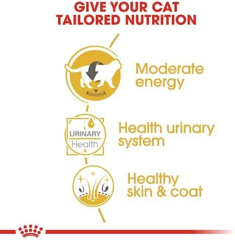 Royal Canin Feline Breed Nutrition British Shorthair Wet Food Pouches - 12 x 85g
