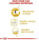 Royal Canin Feline Breed Nutrition British Shorthair Wet Food Pouches - 12 x 85g
