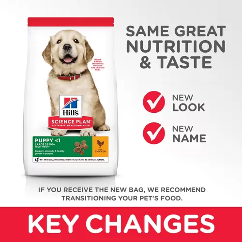 Hill's Science Plan Large Breed Puppy Food with Chicken - 2.5 Kg