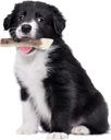Zolux Natural Deer Antler for Puppies_2