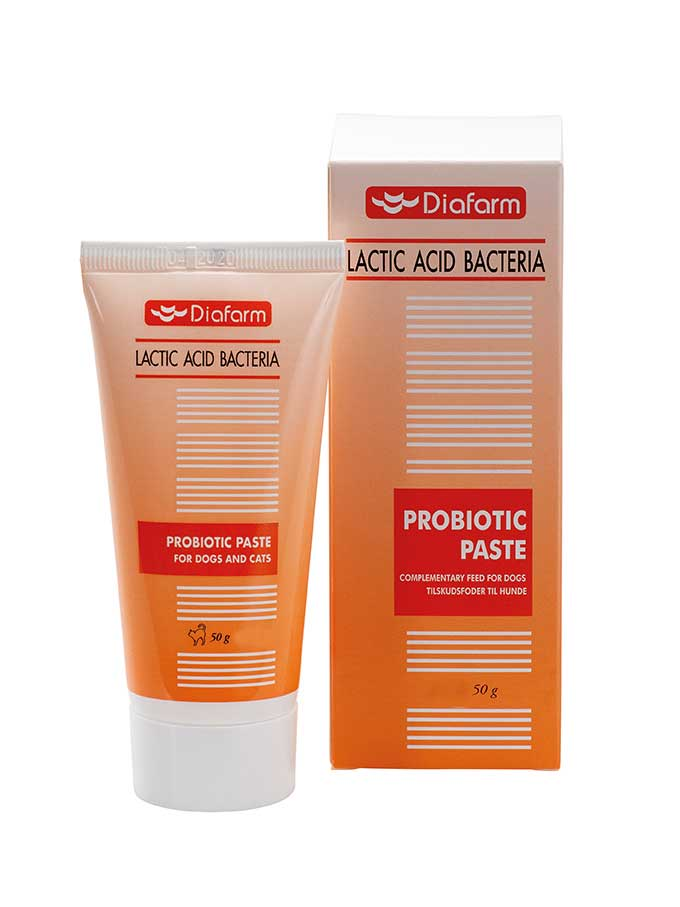 ديافرم: معجون بروبيوتيك