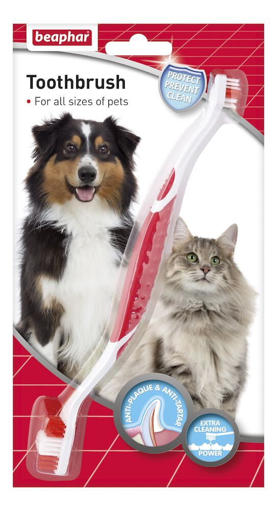 بيفار: فرشاة الأسنان