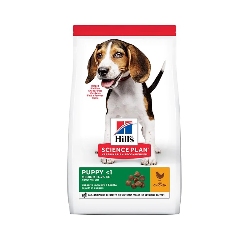 طعام جاف للجراء متوسطة الحجم بنكهة الدجاج من هيلز ساينس بلان - 800 جرام