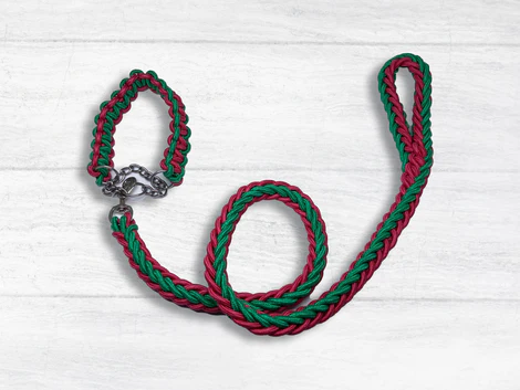 Braided Dog Leash - Medium, Pink & Green
