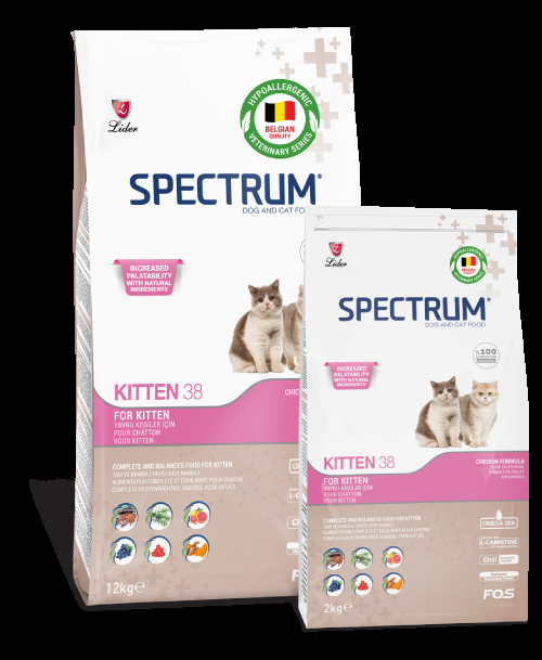 Spectrum: Kitten 38 Kitten Dry Food - 2kg |Chicken
