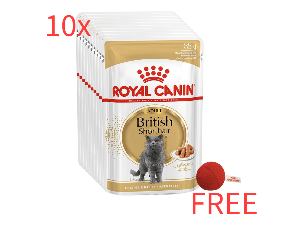 Royal Canin: 10 Feline Breed Nutrition British Shorthair Wet Food 85g Pouch with Free Royal Canin Red Catnip Ball