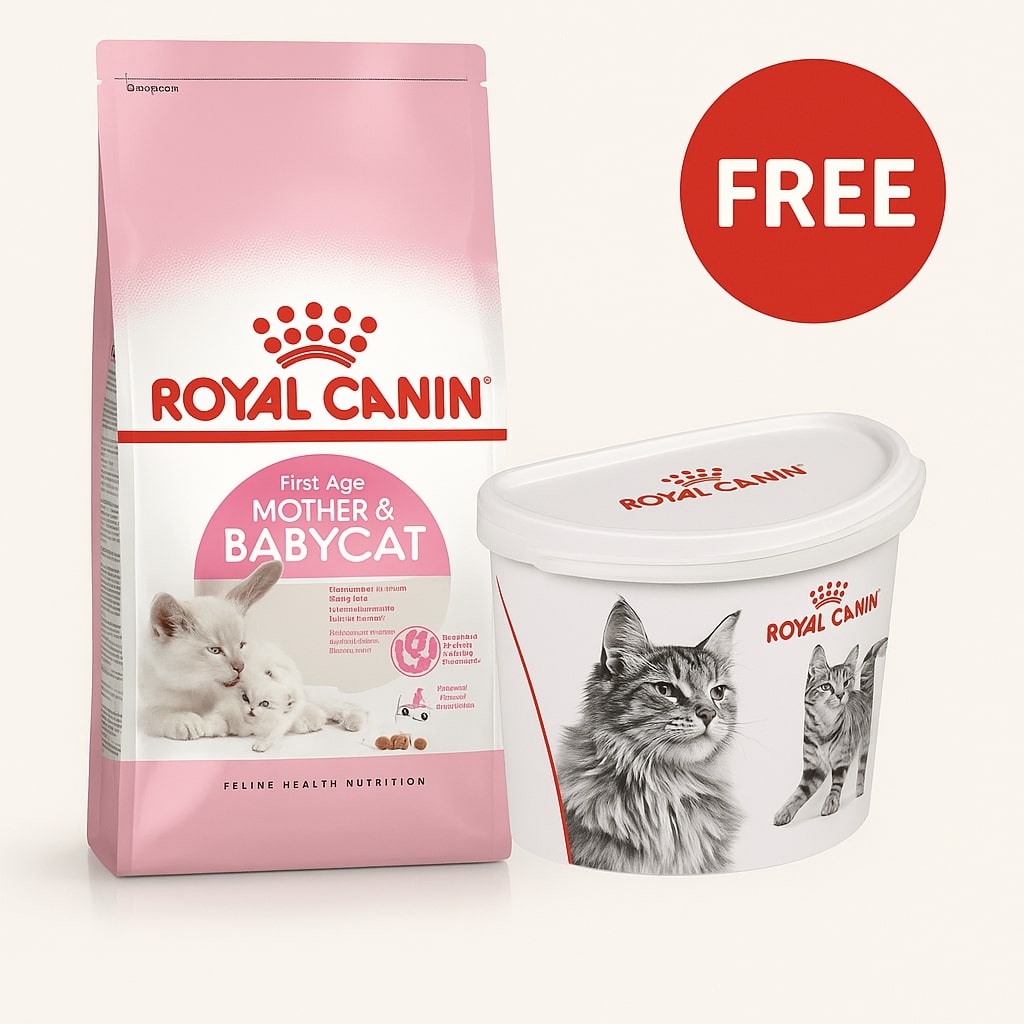 Royal Canin: Feline Health Nutrition Mother and Babycat - 2kg with Free Royal Canin Dry Cat Food Container - 2Kg