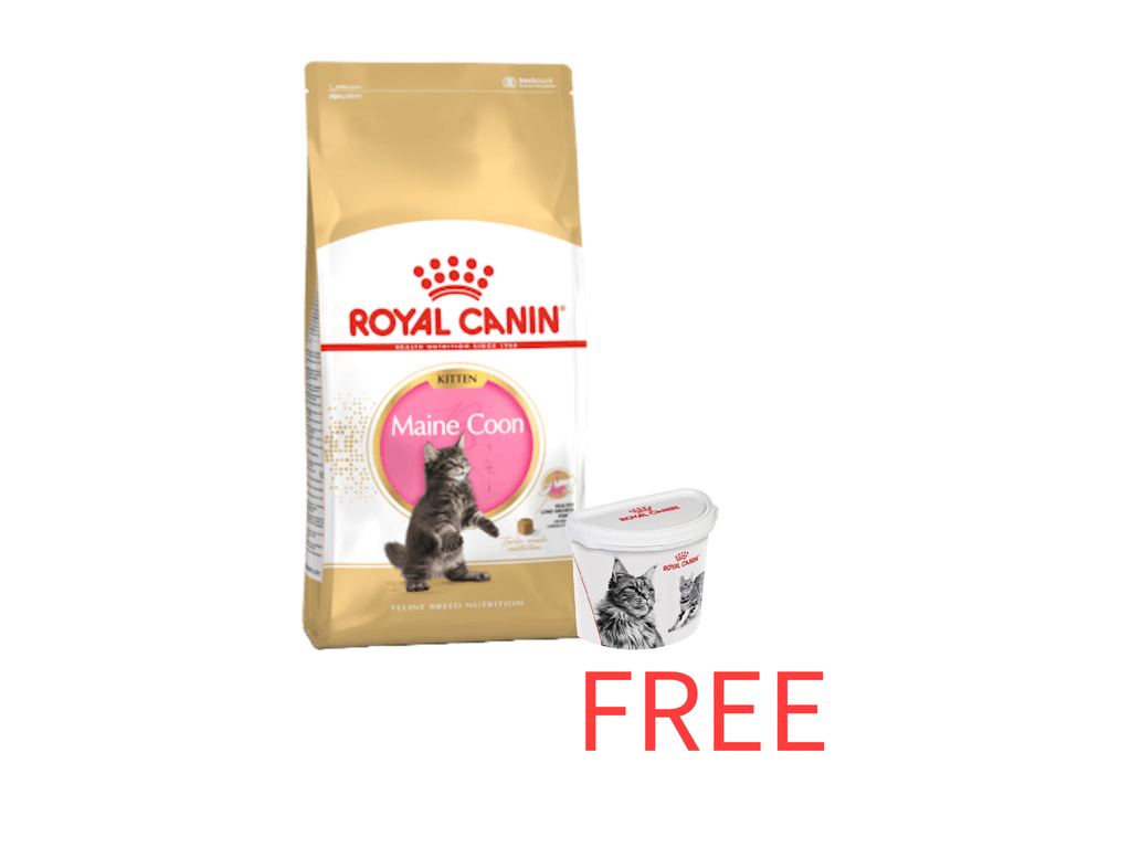 Royal Canin: Feline Breed Nutrition Maine Coon Kitten - 2kg with Free Royal Canin Dry Cat Food Container - 2Kg