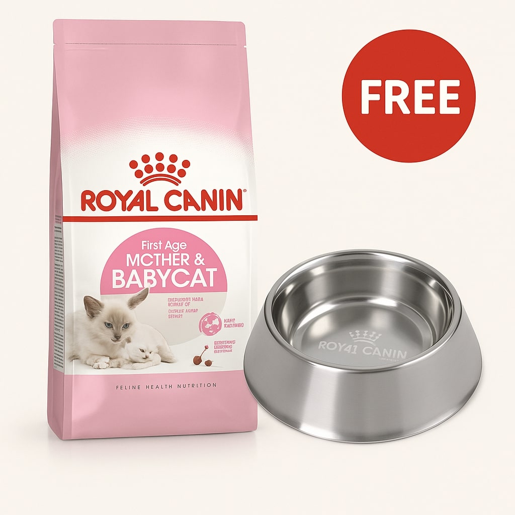 Royal Canin: Feline Health Nutrition Mother & Babycat 10kg bag with Free Royal Canin 340ml Stainless Steel Bowl For Cats