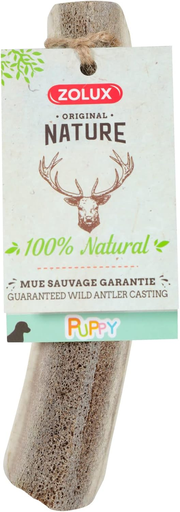 [30138100476] Zolux: Natural Deer Antler for Puppies