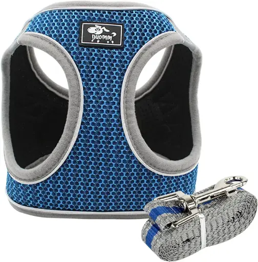 [30138100010] Chest Leash - Large