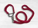 Braided Dog Leash - Large, Pink