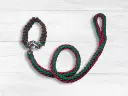 Braided Dog Leash - Large, Pink & Green