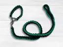 Braided Dog Leash - Small, Black & Green