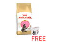 Royal Canin: Feline Breed Nutrition Maine Coon Kitten - 2kg with Free Royal Canin Dry Cat Food Container - 2Kg