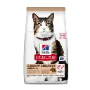 Hill's Science Plan Culinary Creations Salmon and Carrots Cat food (1.5 KG)